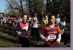 Begles 15.12.13 01 455 * 679 x 453 * (159KB)